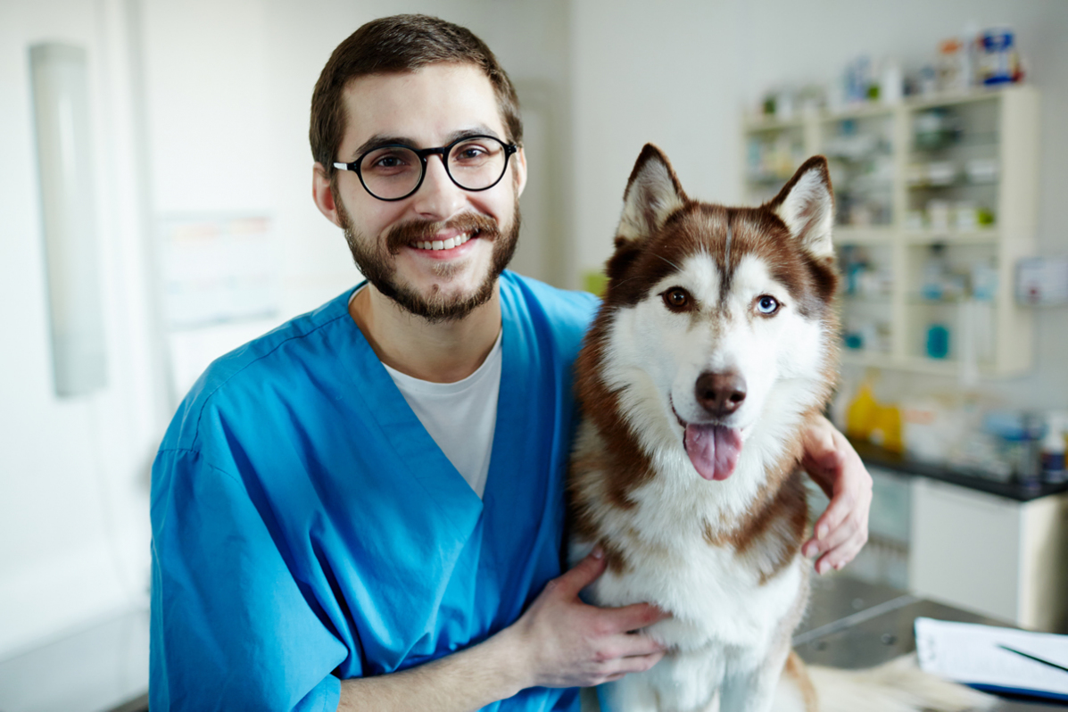 Veterinaria Nilo 4